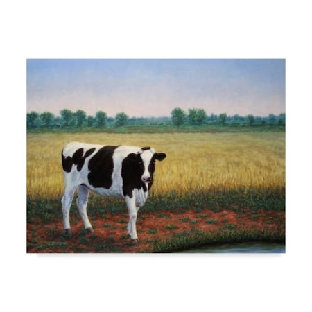 James W. Johnson 'Happy Holstein' Canvas Art,24x32